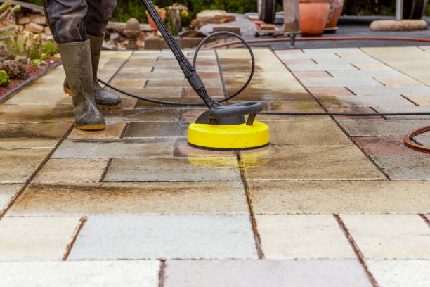 Best Winterizing Services  in Redwood Falls, MN