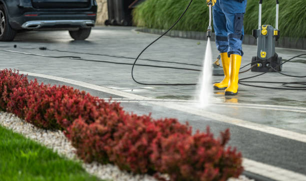 Best Solar Panel Cleaning  in Redwood Falls, MN